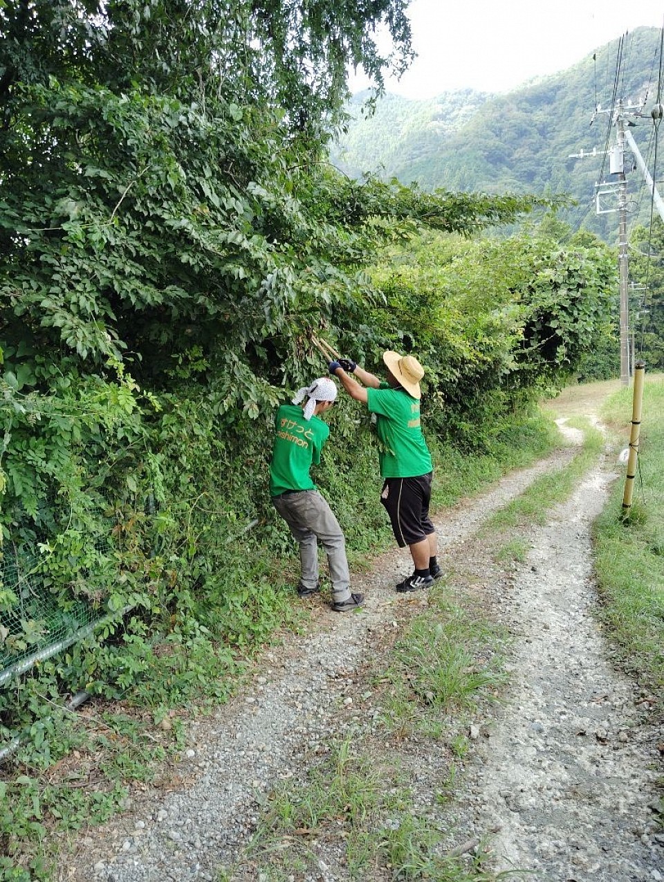 通路にはみ出た枝を切っています